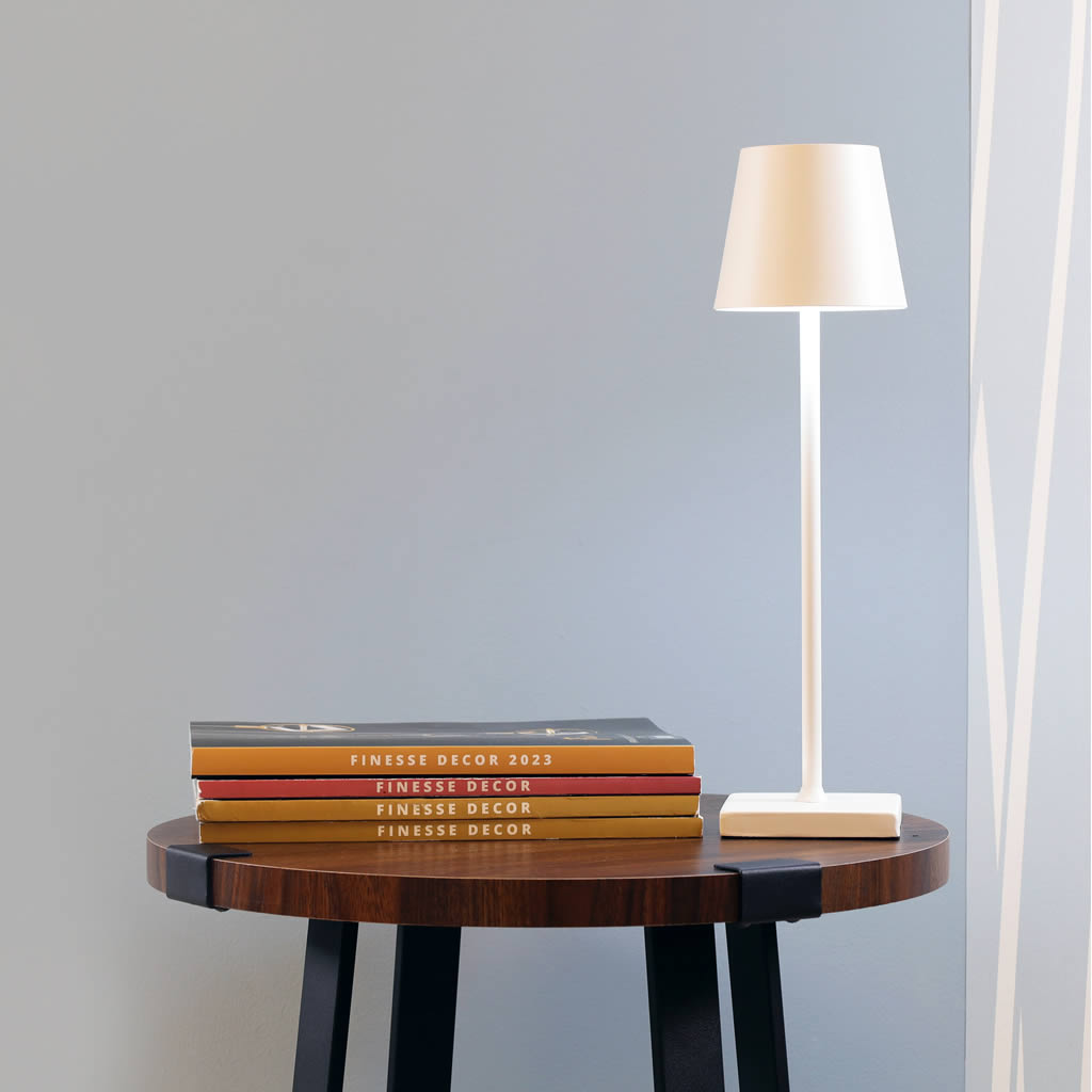 Rechargeable Table & Desk Lamps