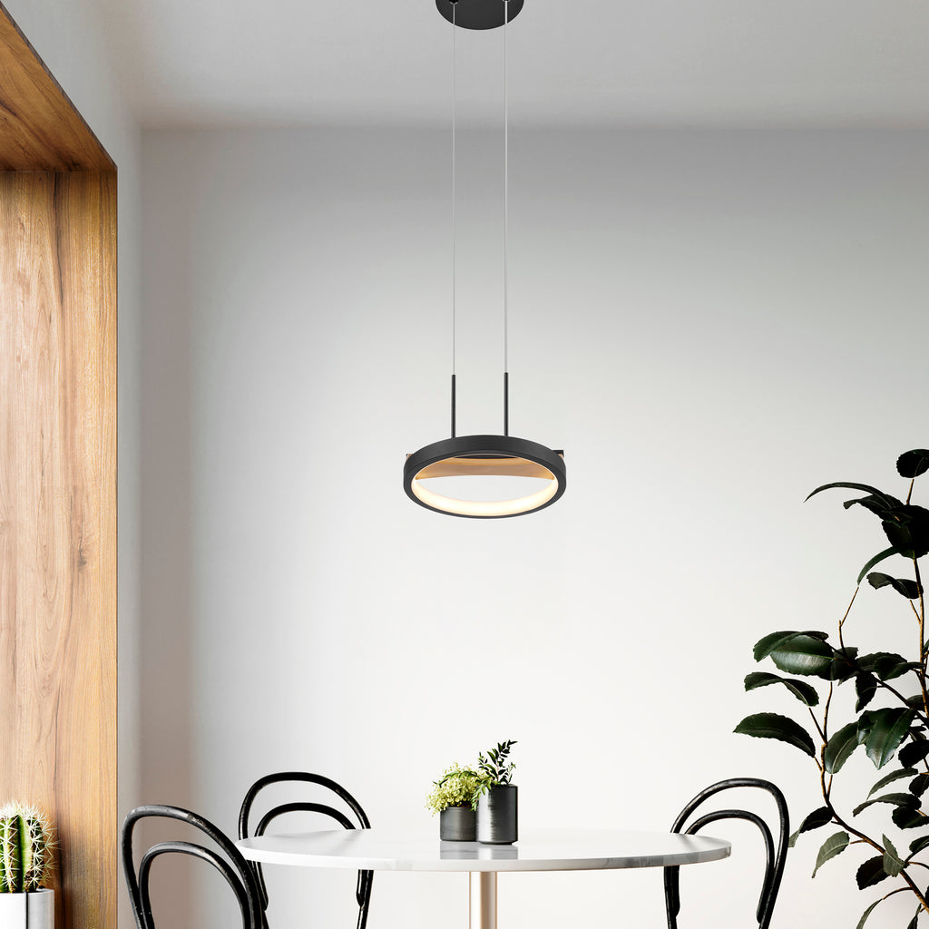 Modern pendant light with round LED frame in black and pine